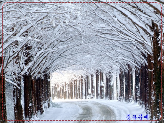 아름다운자리 이미지
