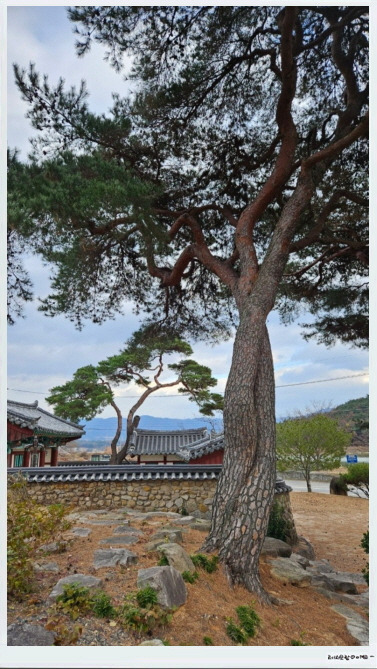 삼락 이미지