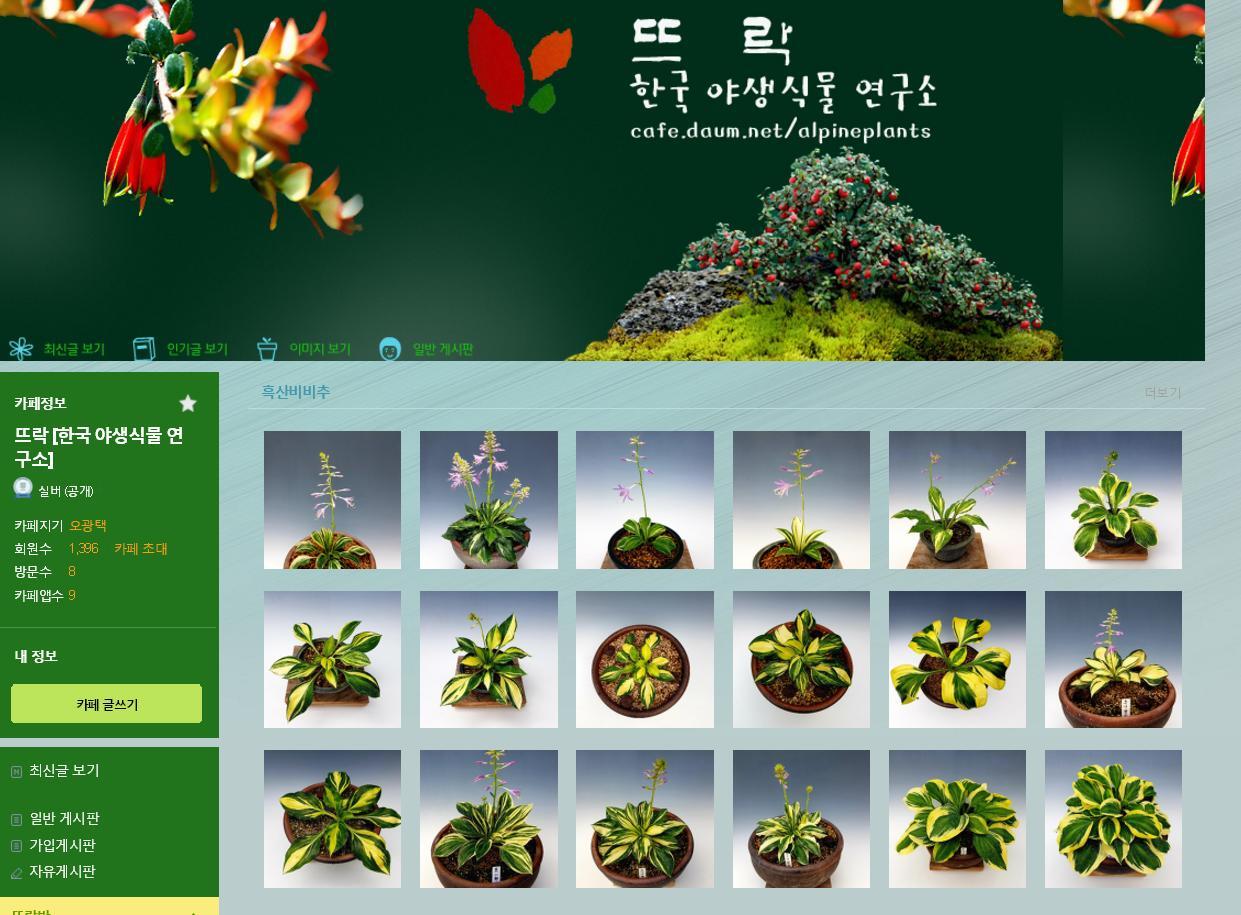 오광택 이미지