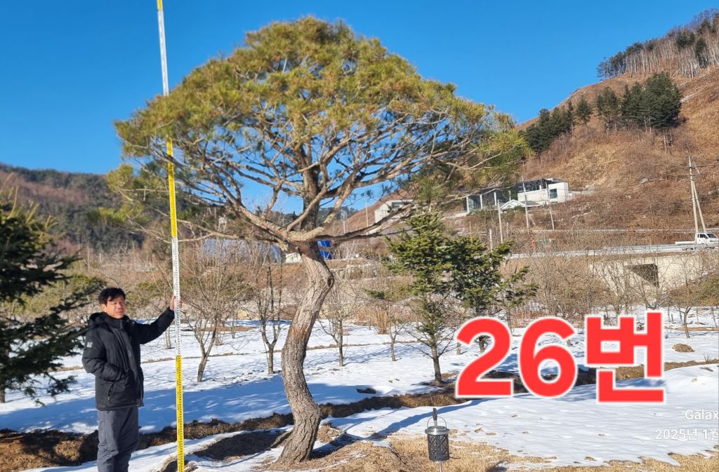 조형 이미지
