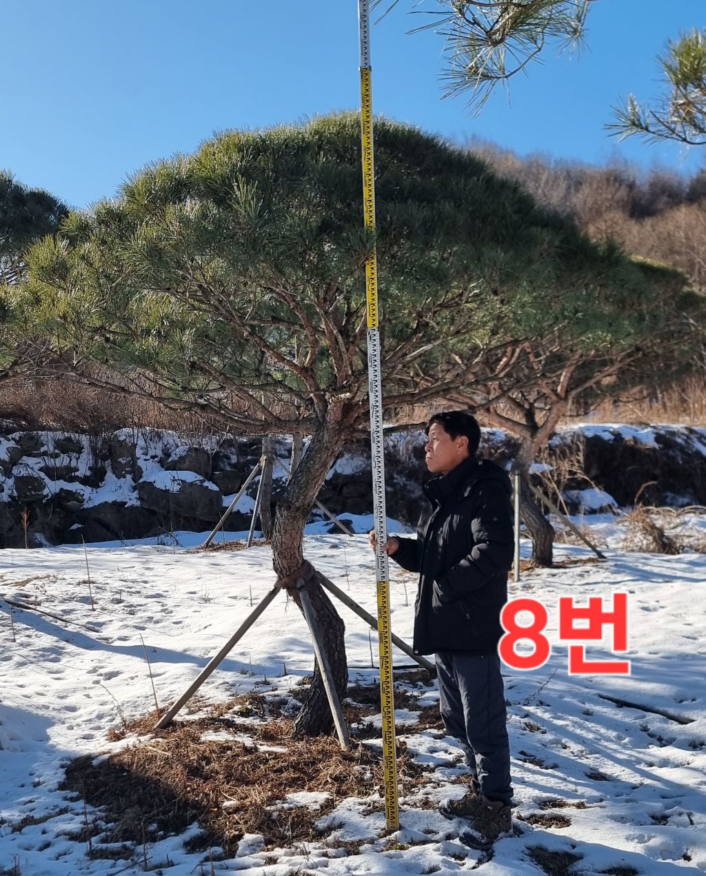 조형 이미지
