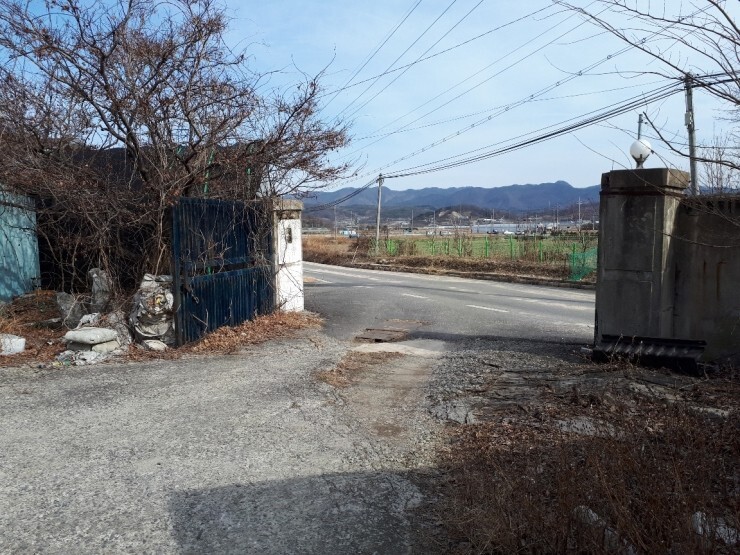 대지카페 이미지