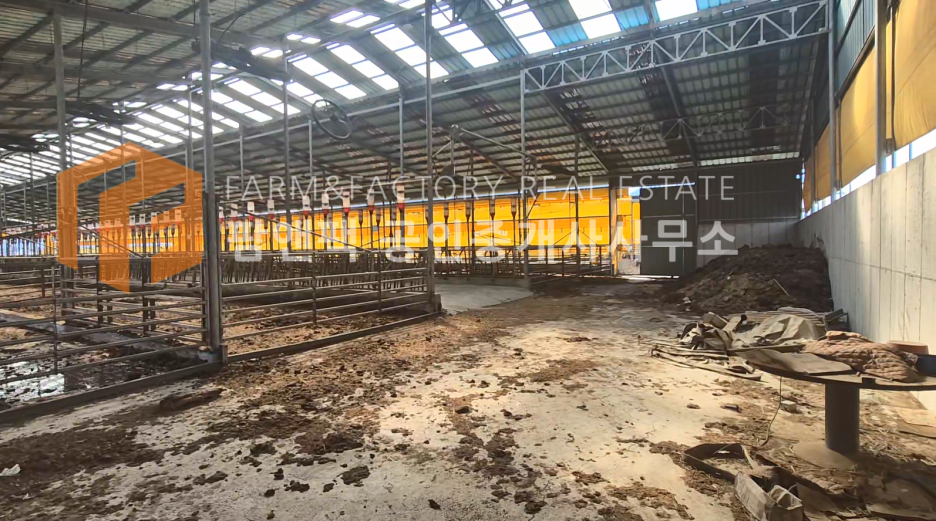 우사임당 이미지