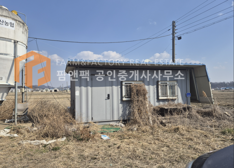 우사임당 이미지