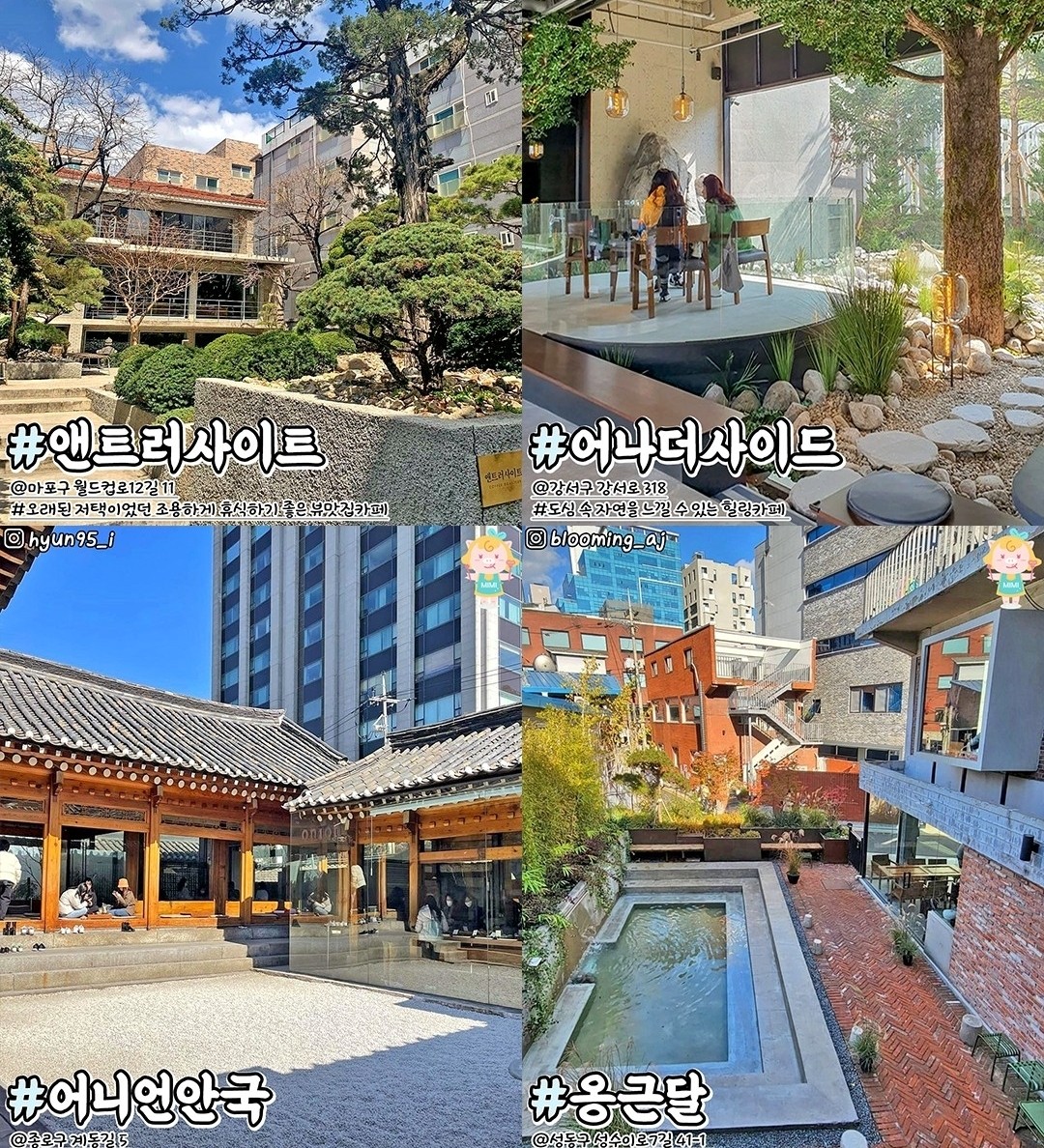 카페33 이미지
