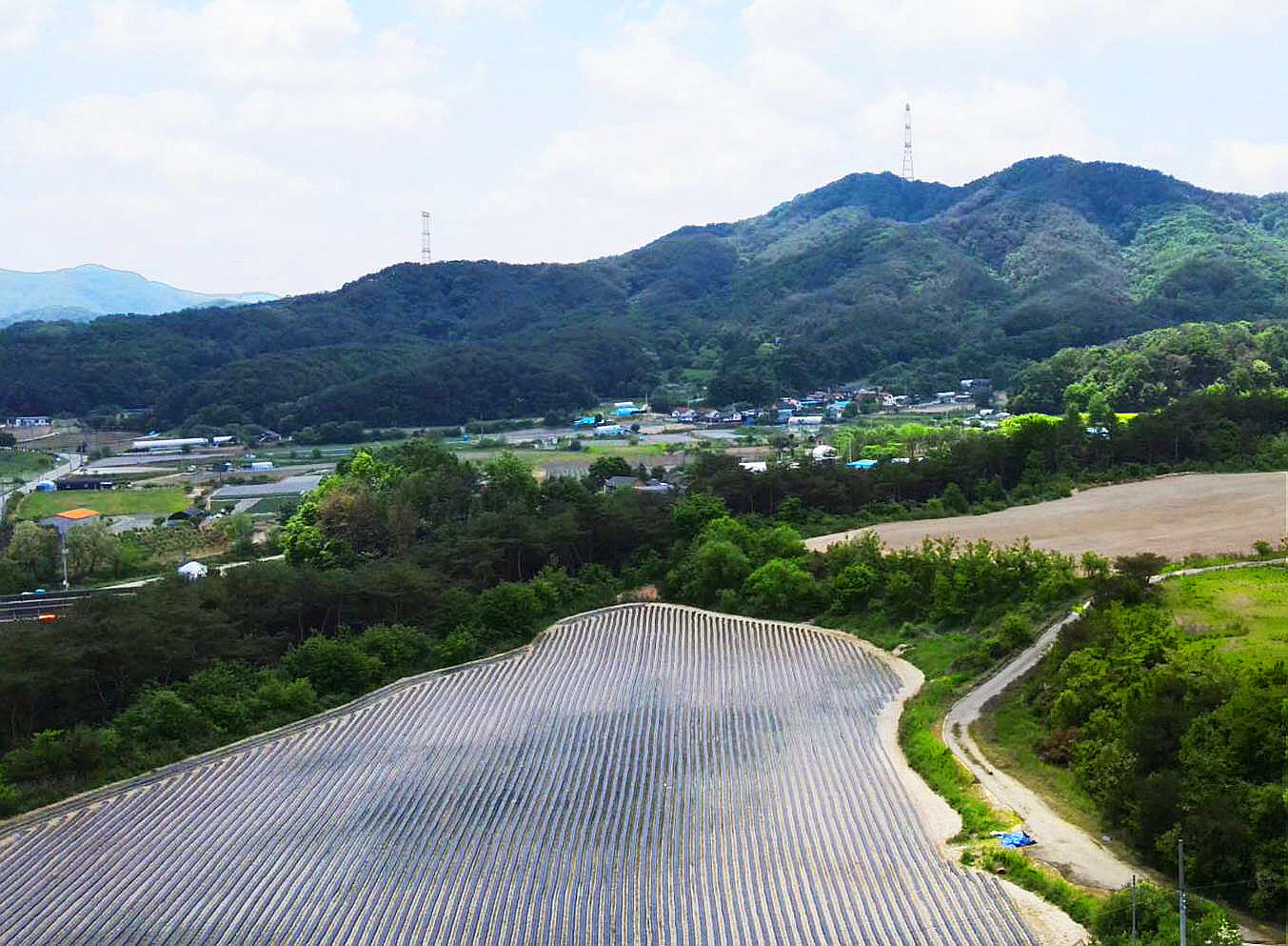 남면 이미지
