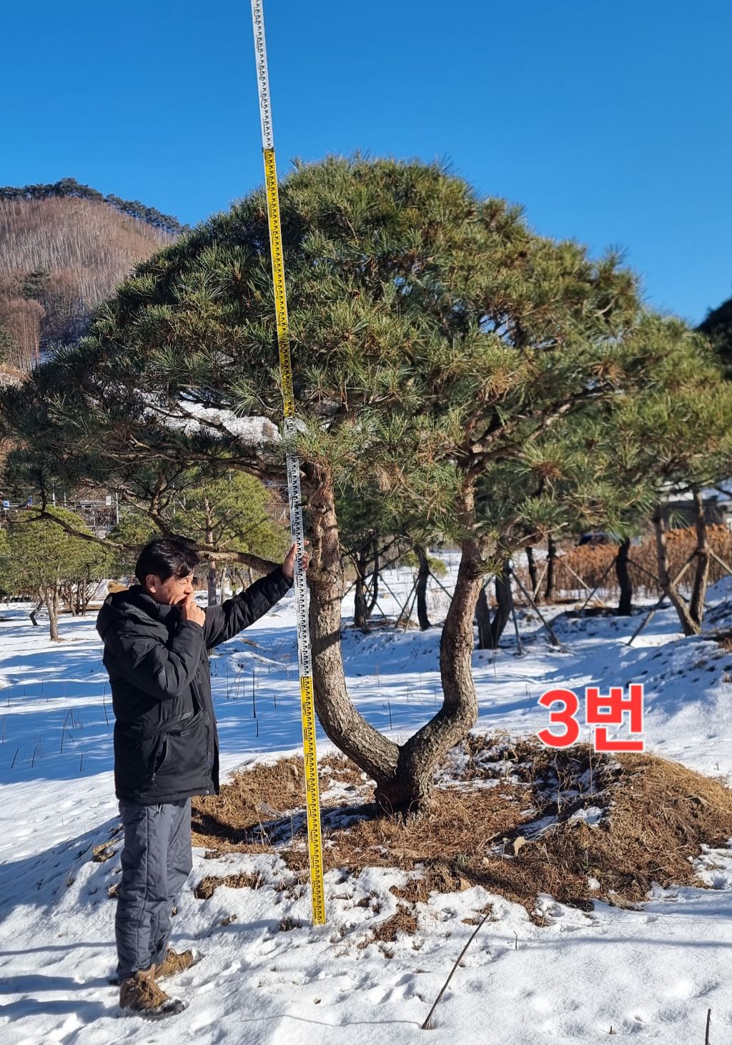 조형 이미지