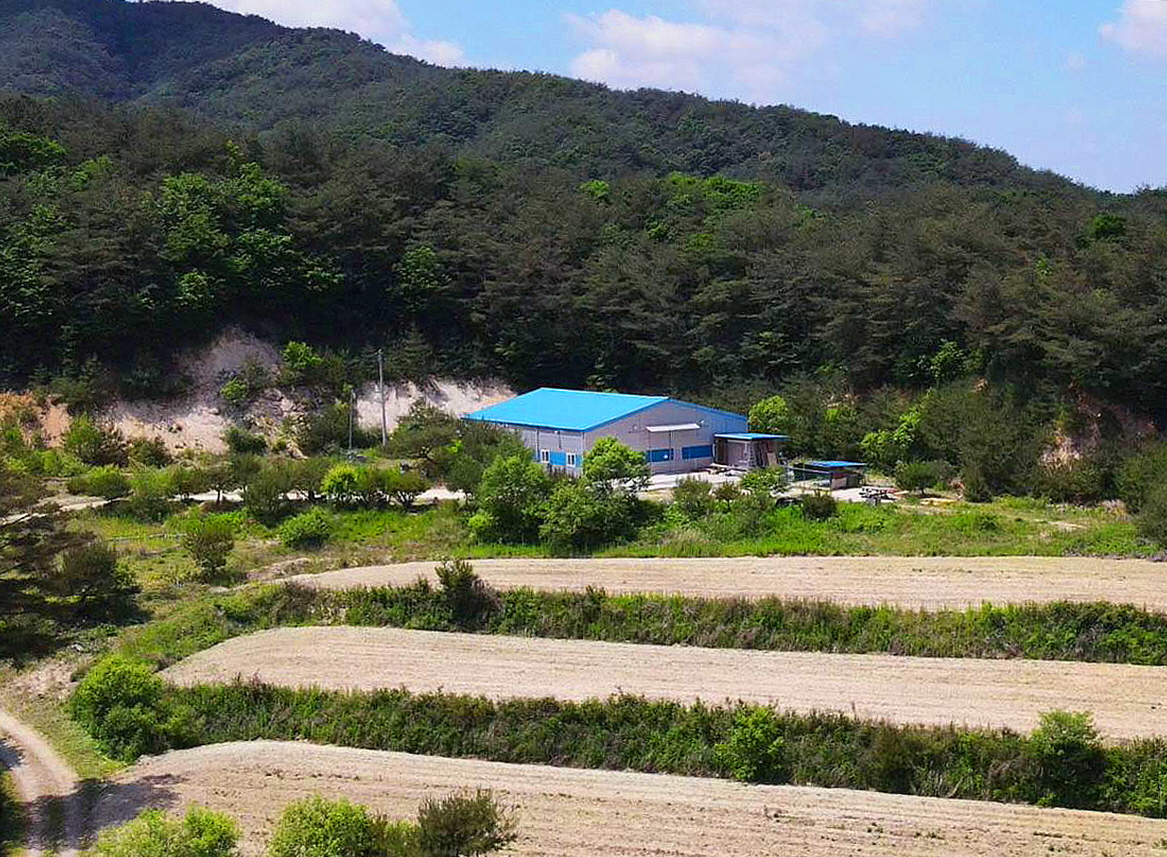 남면 이미지