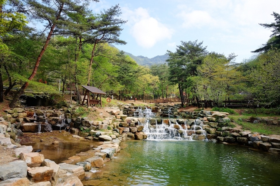 오도산 자연휴양림 이미지
