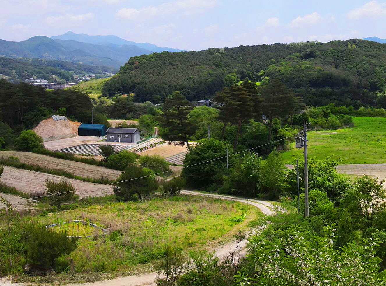 남면 이미지