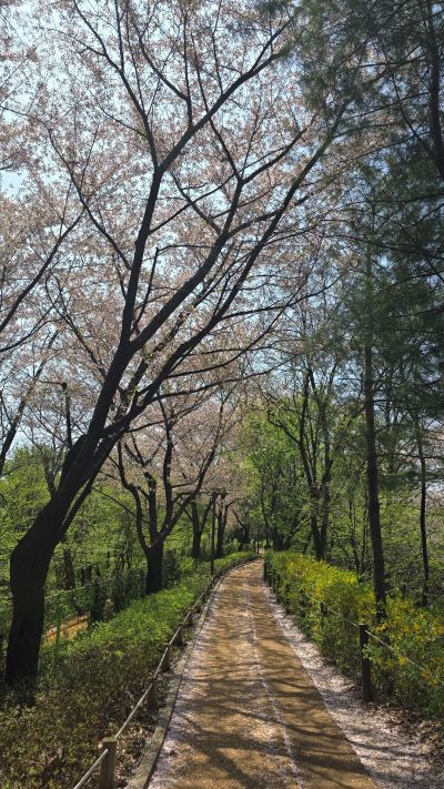 군자-1 (산들공원) 이미지