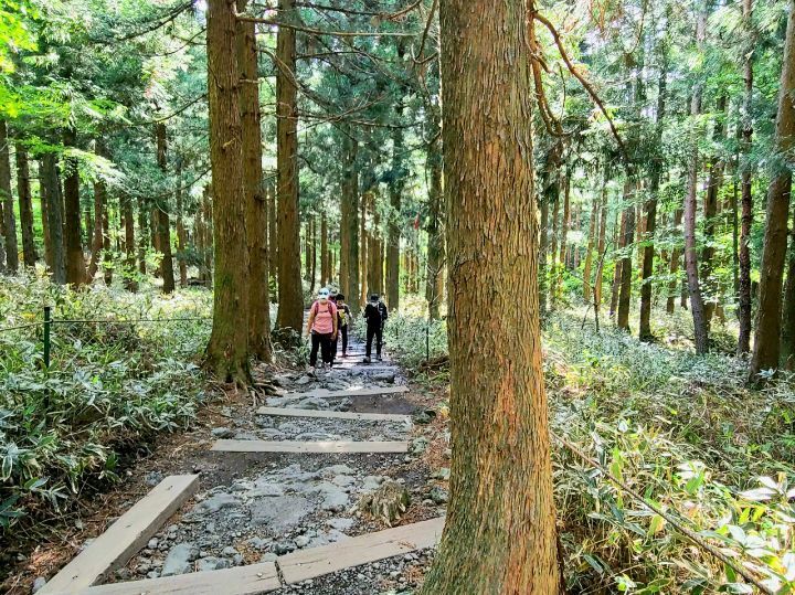 5월 제주도 힐링 한달살이 - 보고싶다.친구야 - 하늘지기7 5월 제주도 힐링 한달살이