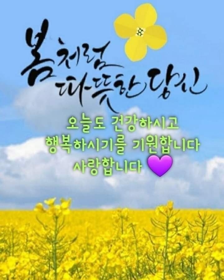 행복한아침 이미지
