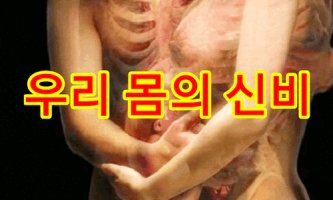 신비코 이미지