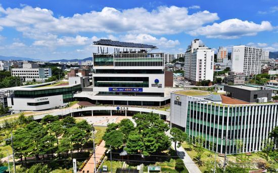 보령산양산삼 이미지