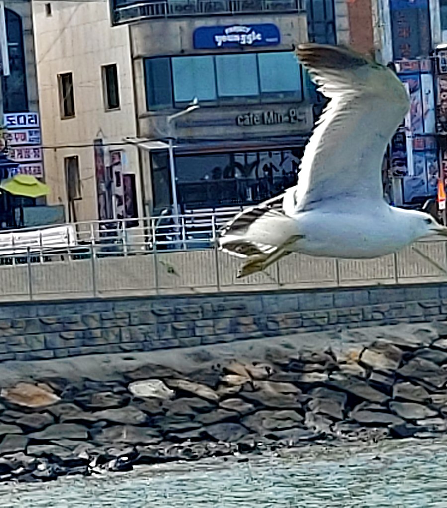 오이도 이미지