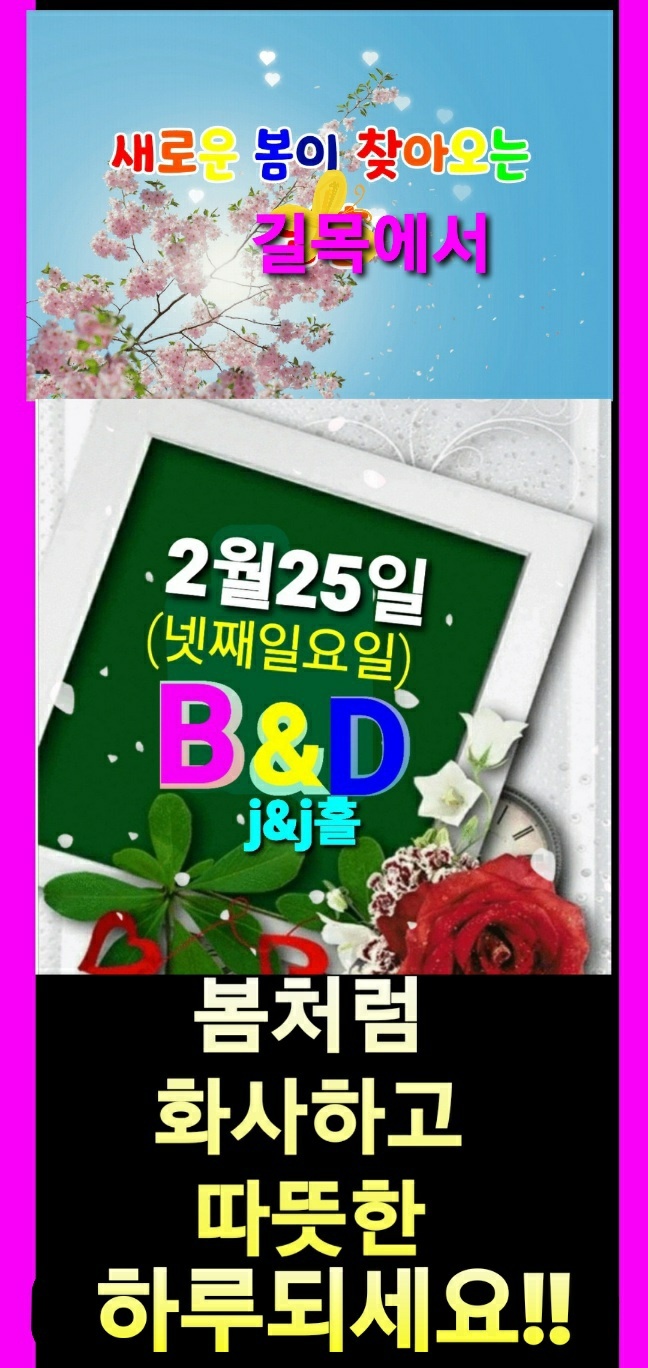 비앤디 이미지
