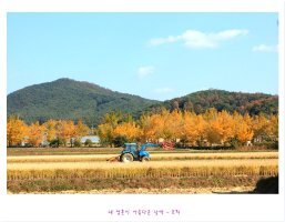 지혜 이미지