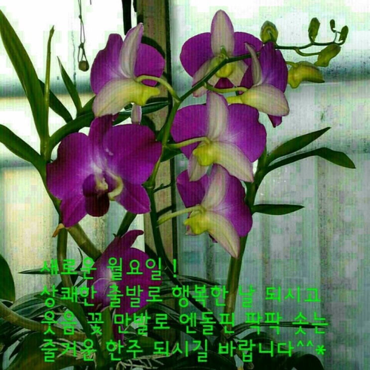 월요일 이미지