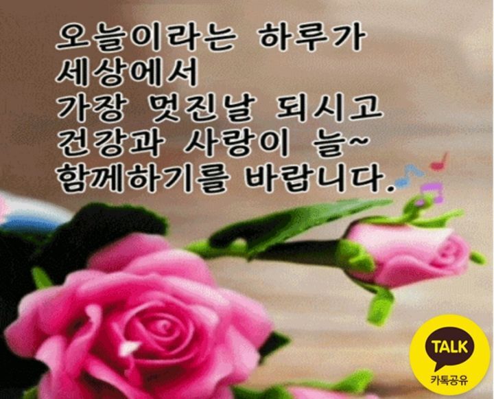 천양 이미지