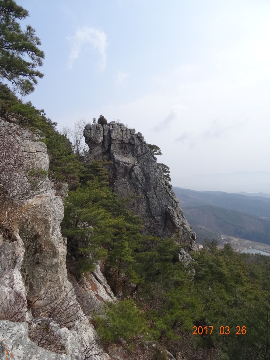 센텀뉴부산관광주 이미지