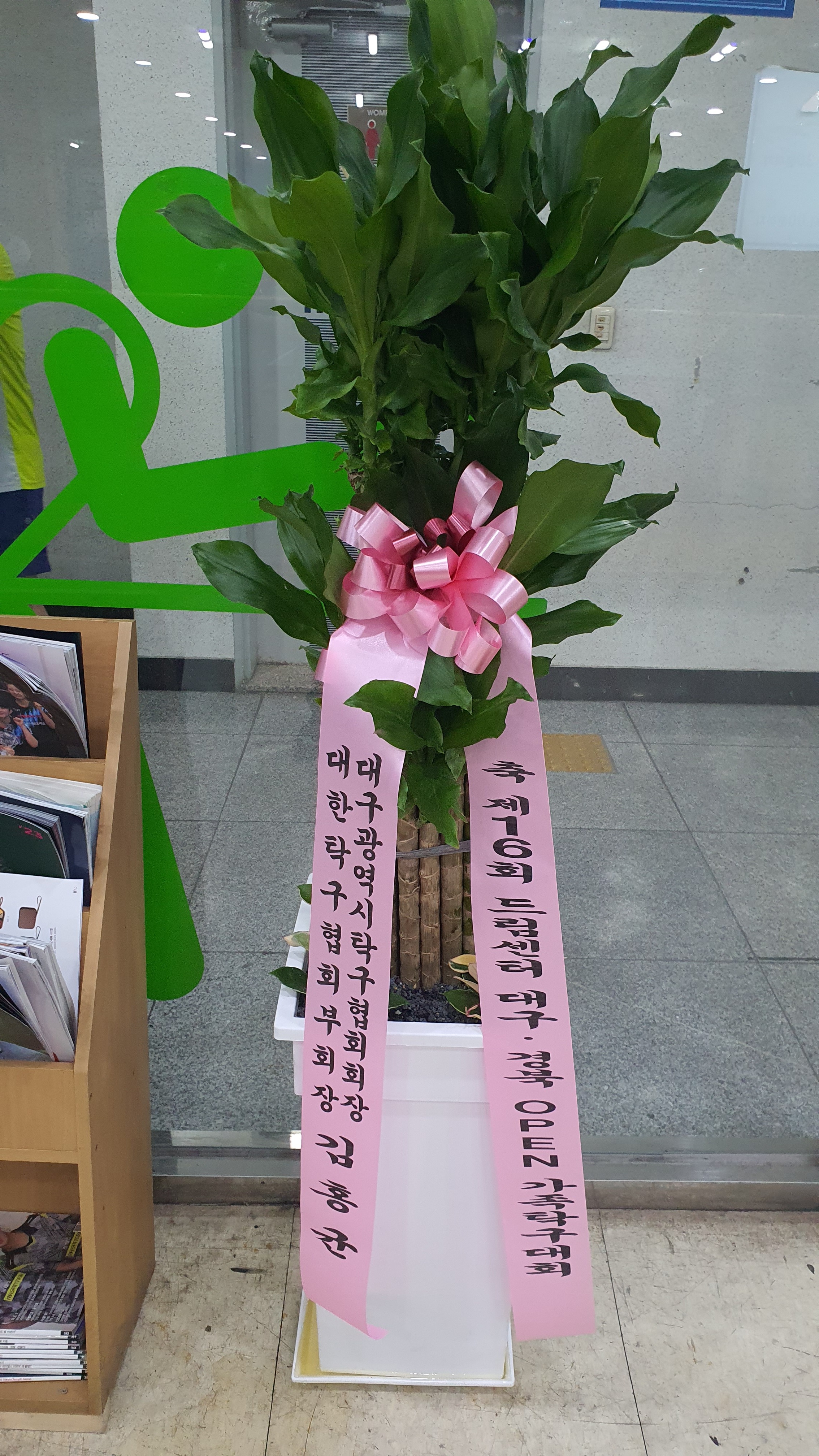 드림탁구 이미지