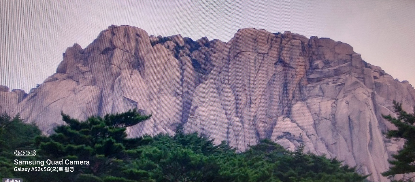 Daum 카페