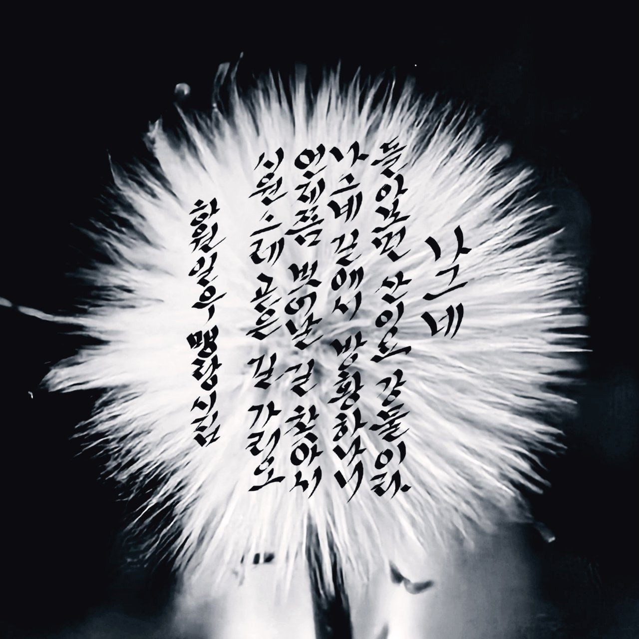 일우 이미지