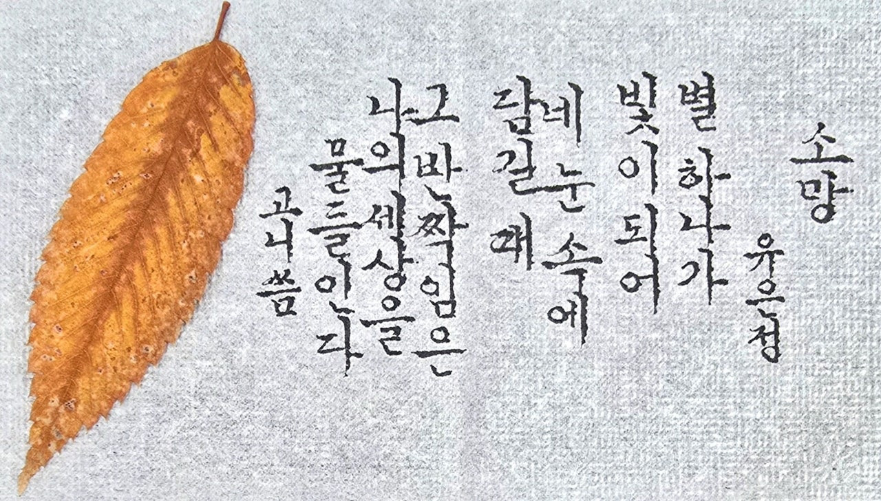 소망 이미지
