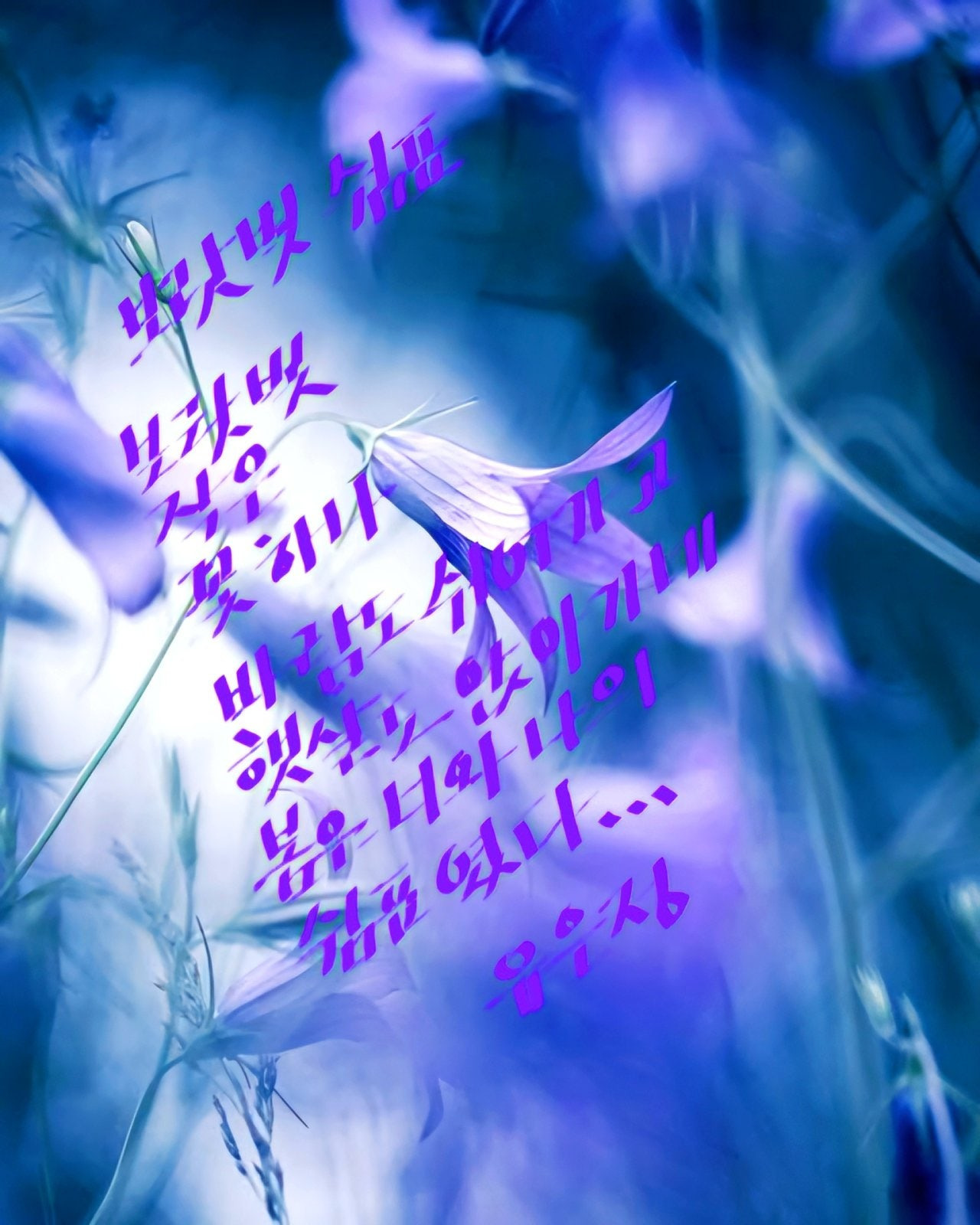 쉼표 이미지