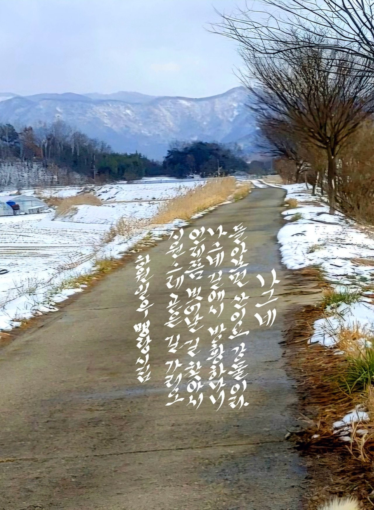일우 이미지