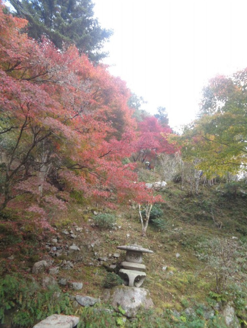 엔코 이미지