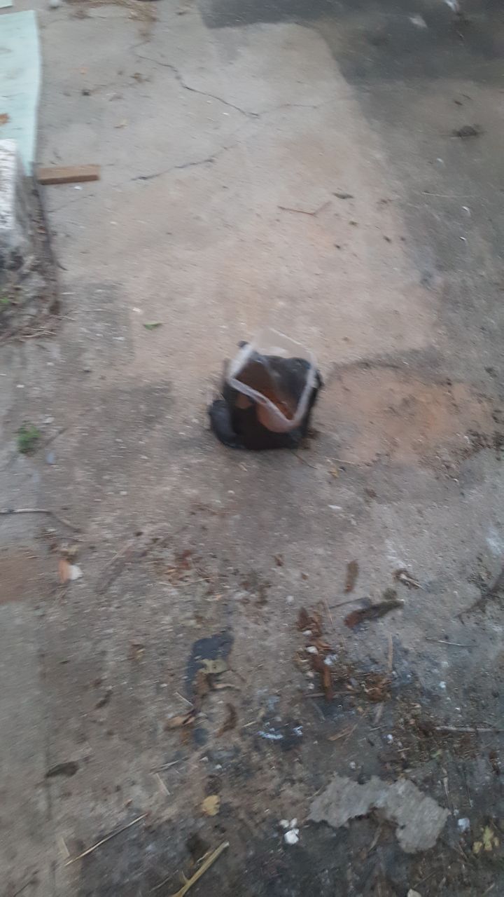 대자급식 이미지