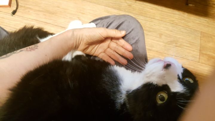 복터진날 이미지