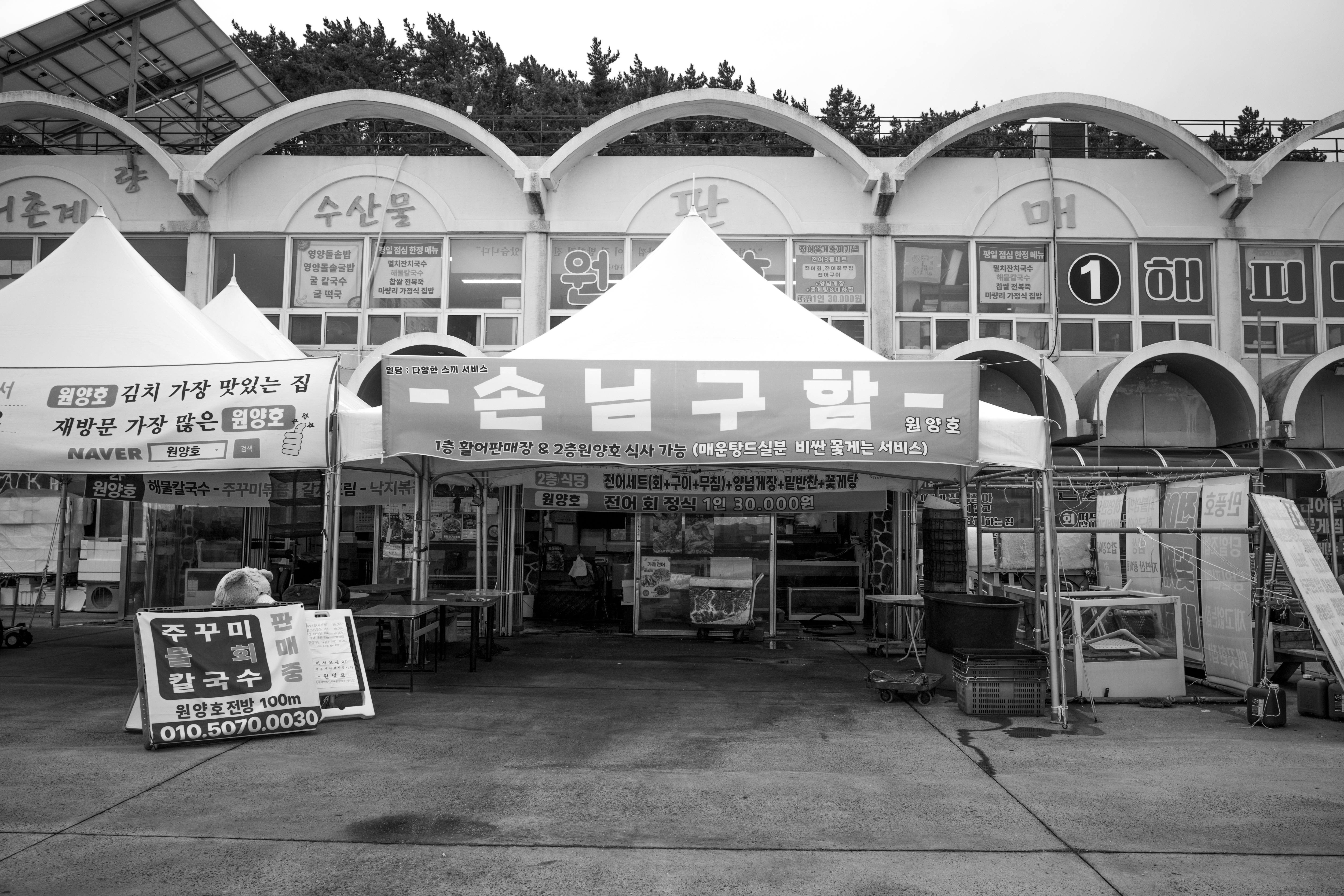 손님구함 이미지