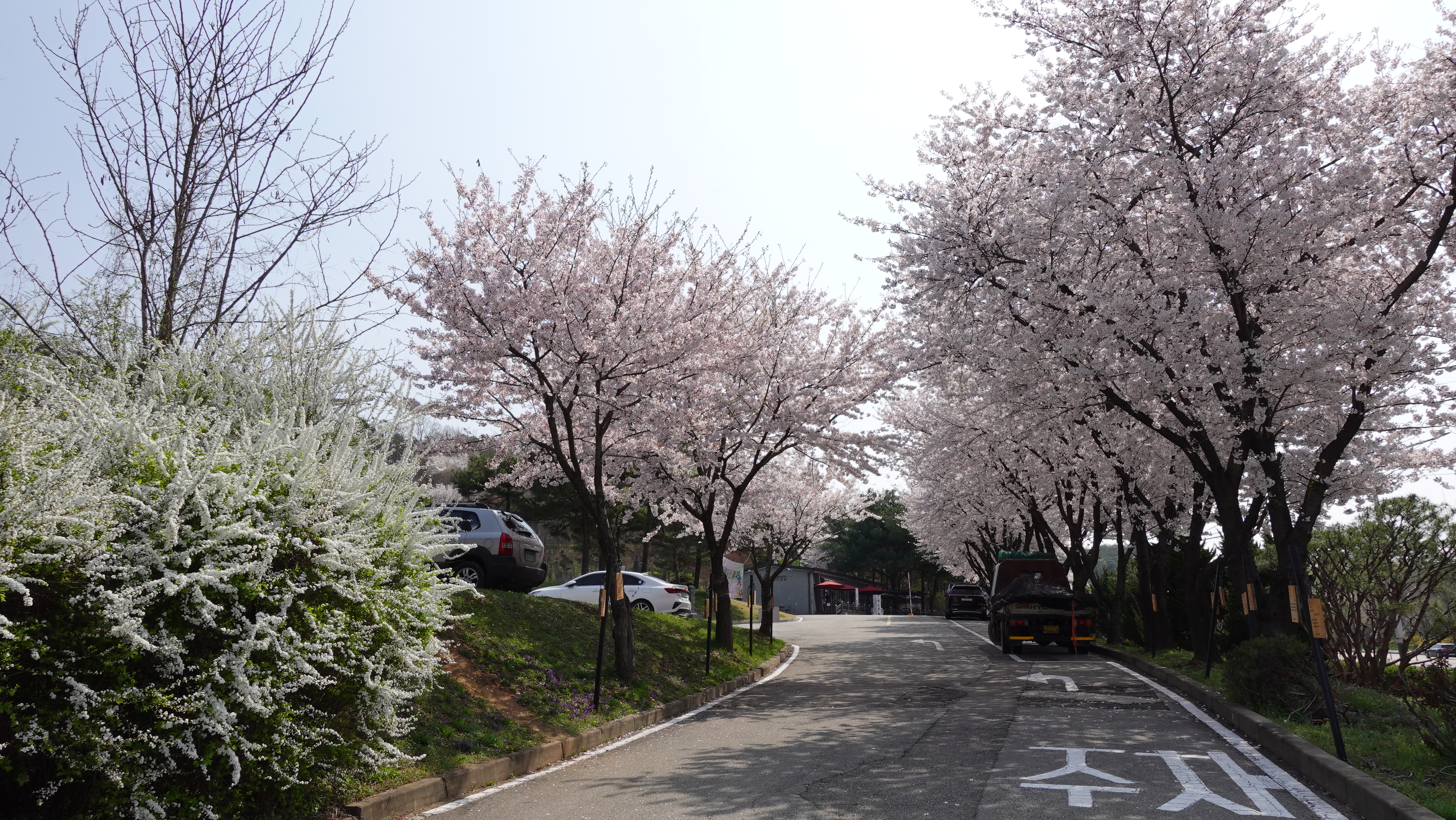 삼원화원 이미지