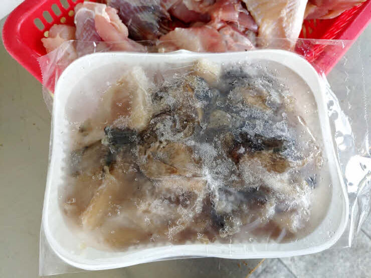 홍어식당 이미지