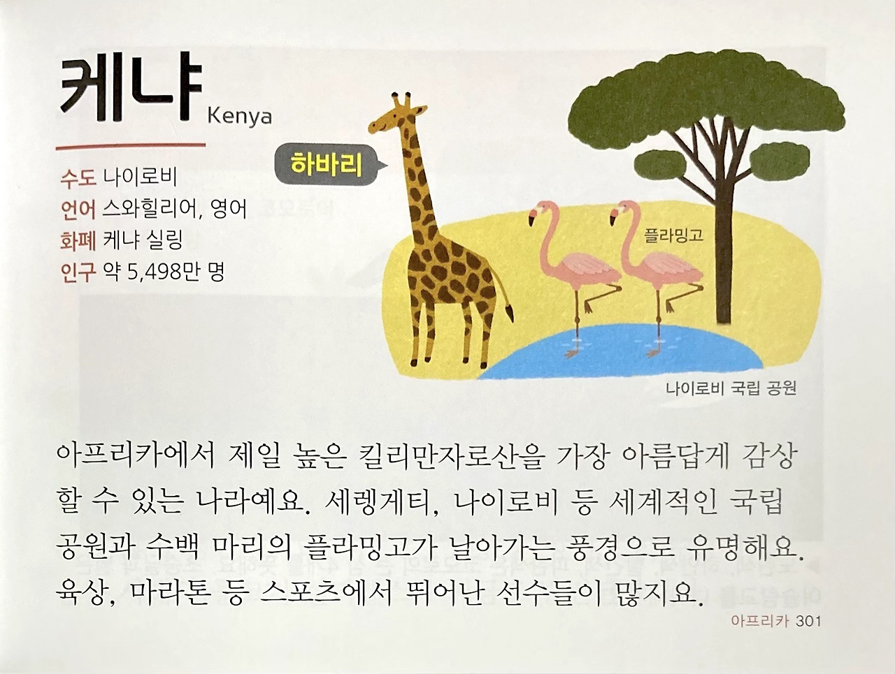 버디세계여행 이미지