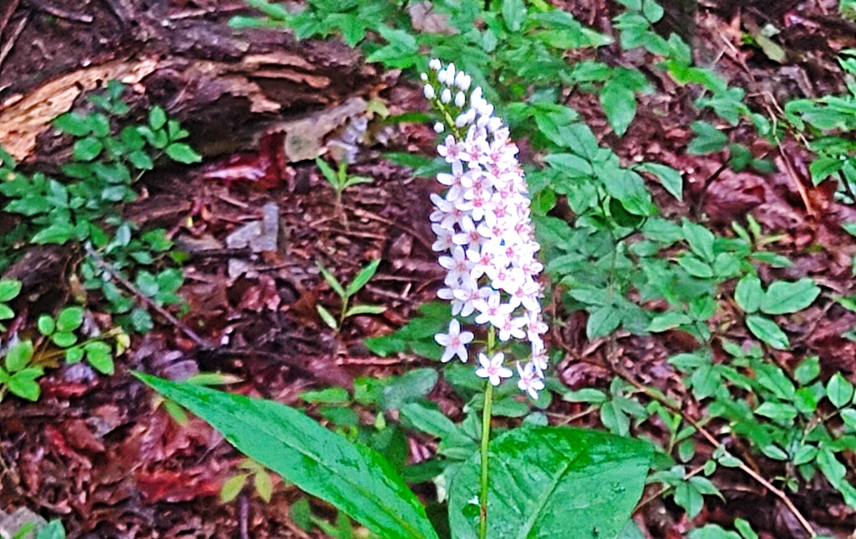산다방 이미지