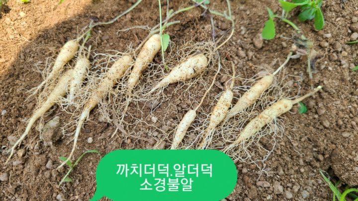 까치수퍼 이미지