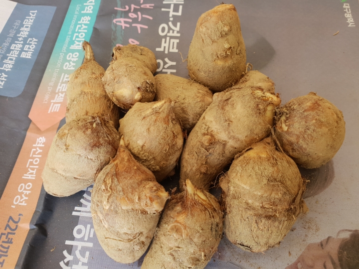 알이랑 건강 이미지