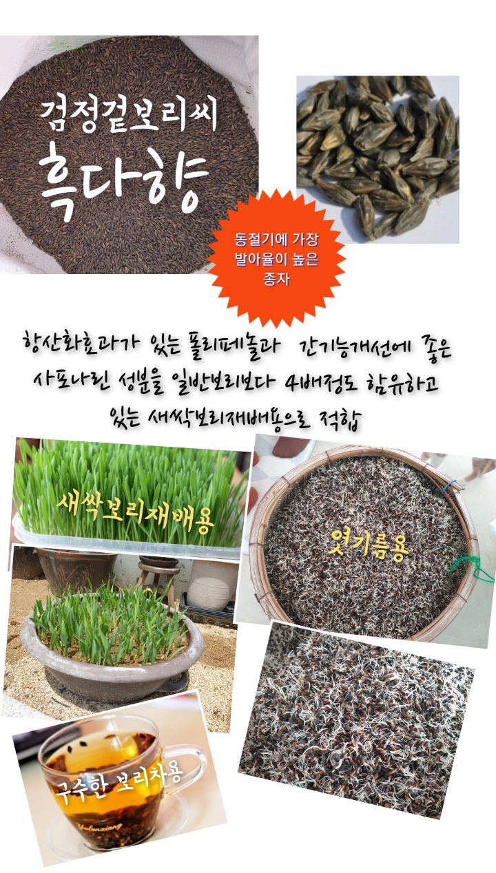 보리씨 이미지