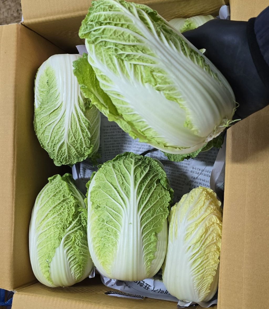 꼬불이네 이미지