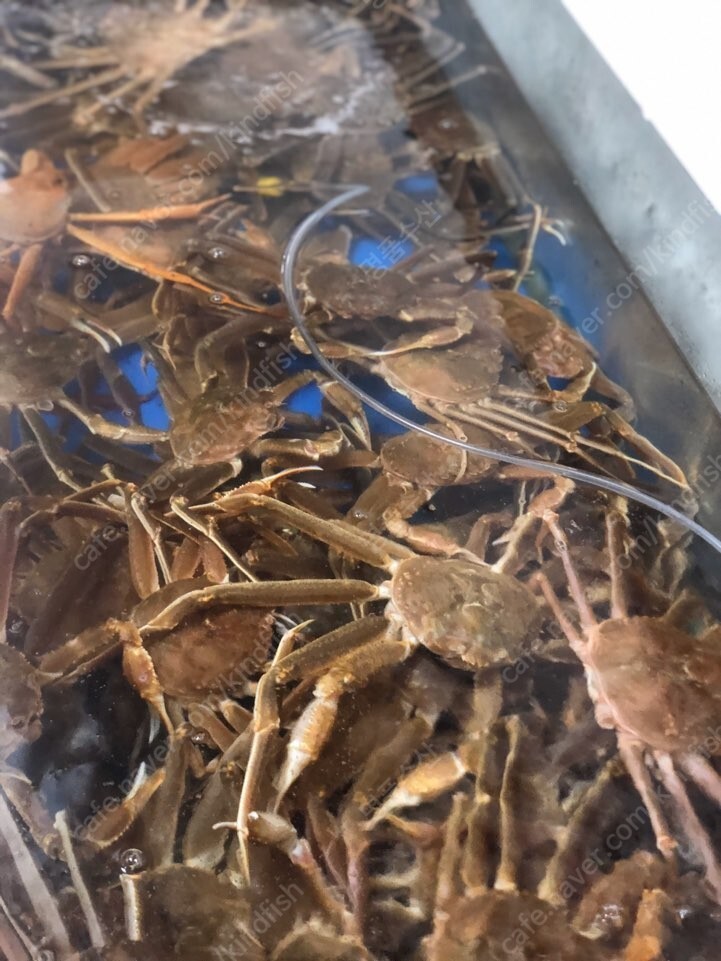 영덕농수산 이미지