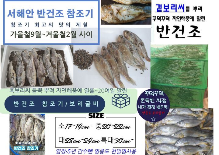 보리씨 이미지