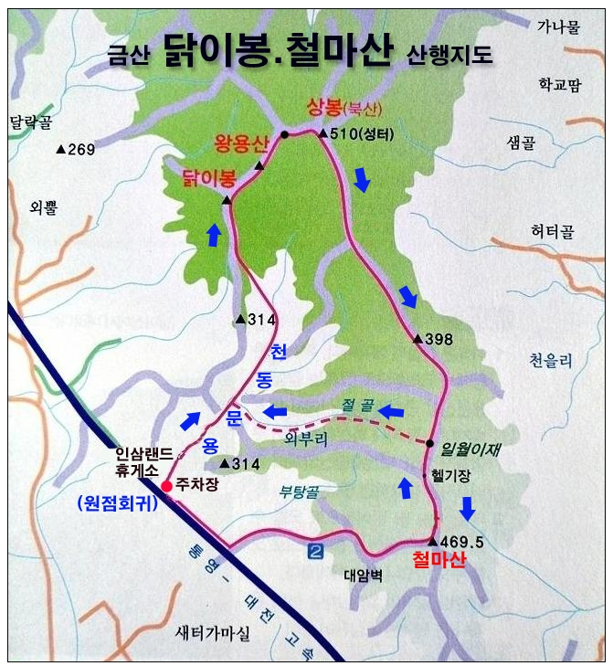 닭이봉 이미지