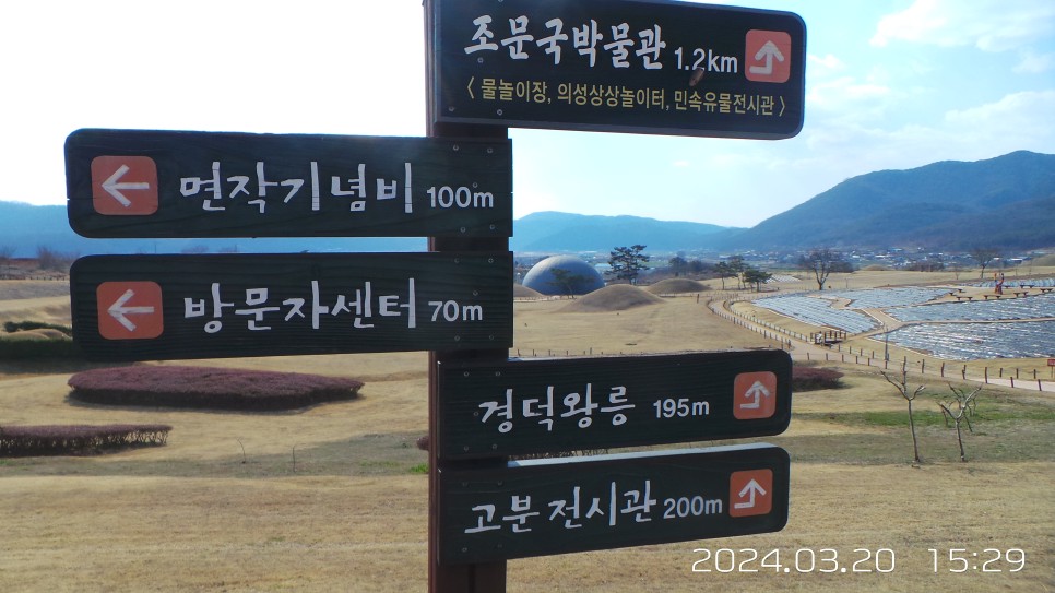 대지화원꽃 이미지