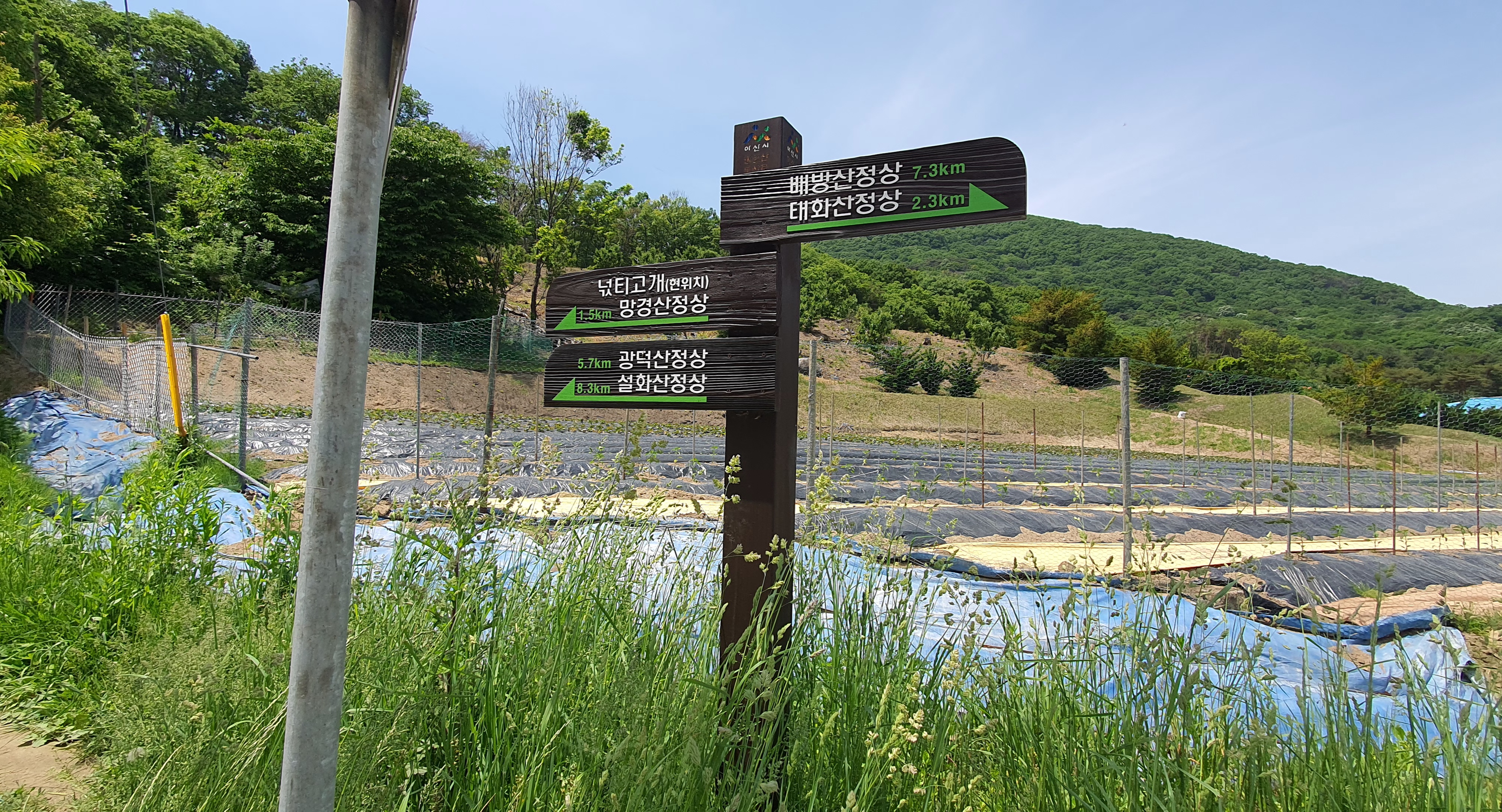 망경산 이미지