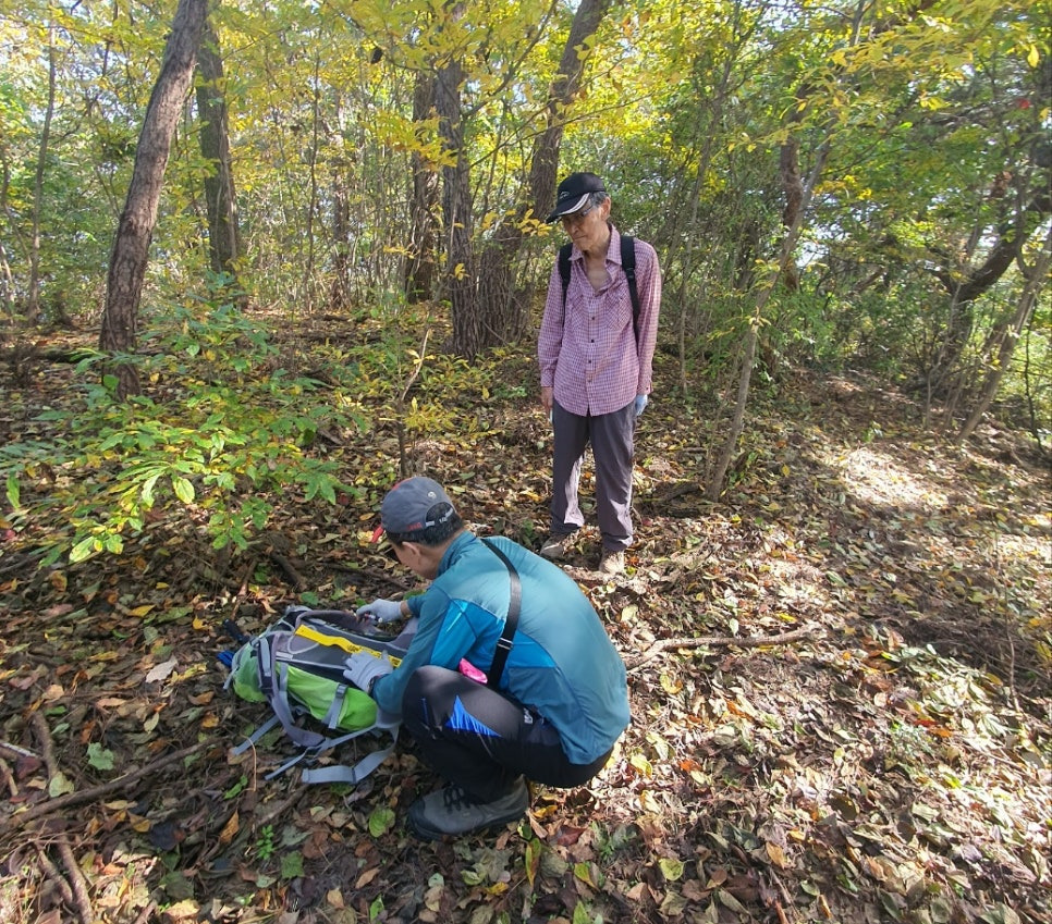 닭이봉 이미지