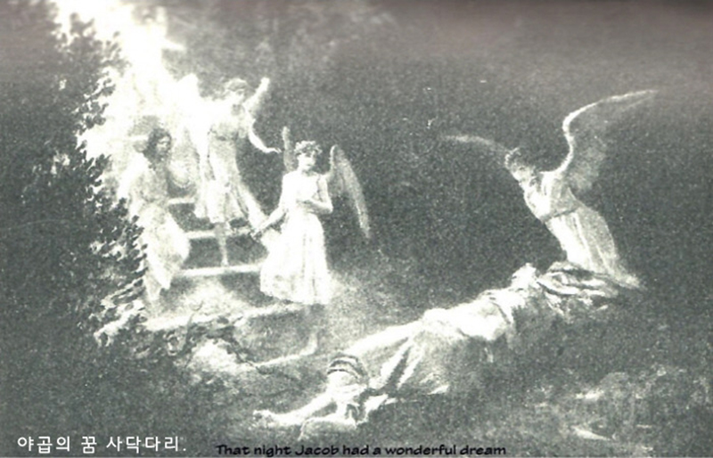 사닥다리 이미지